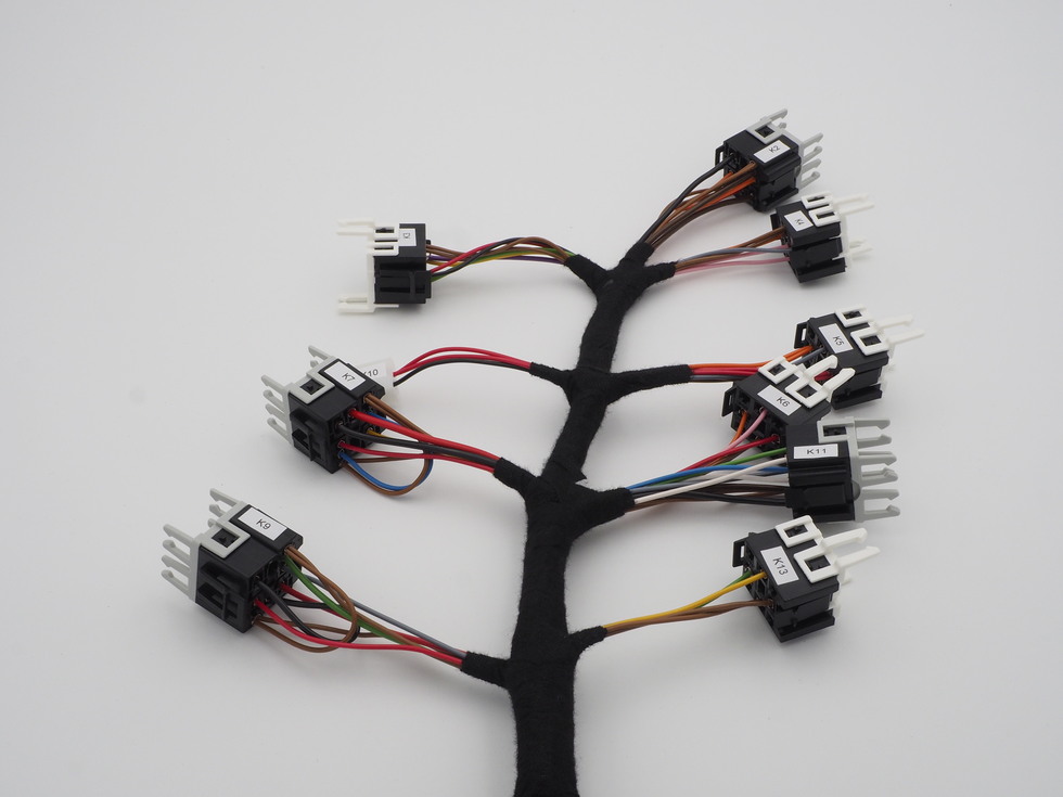 Sonderfahrzeugbau & Spezialfahrzeuge